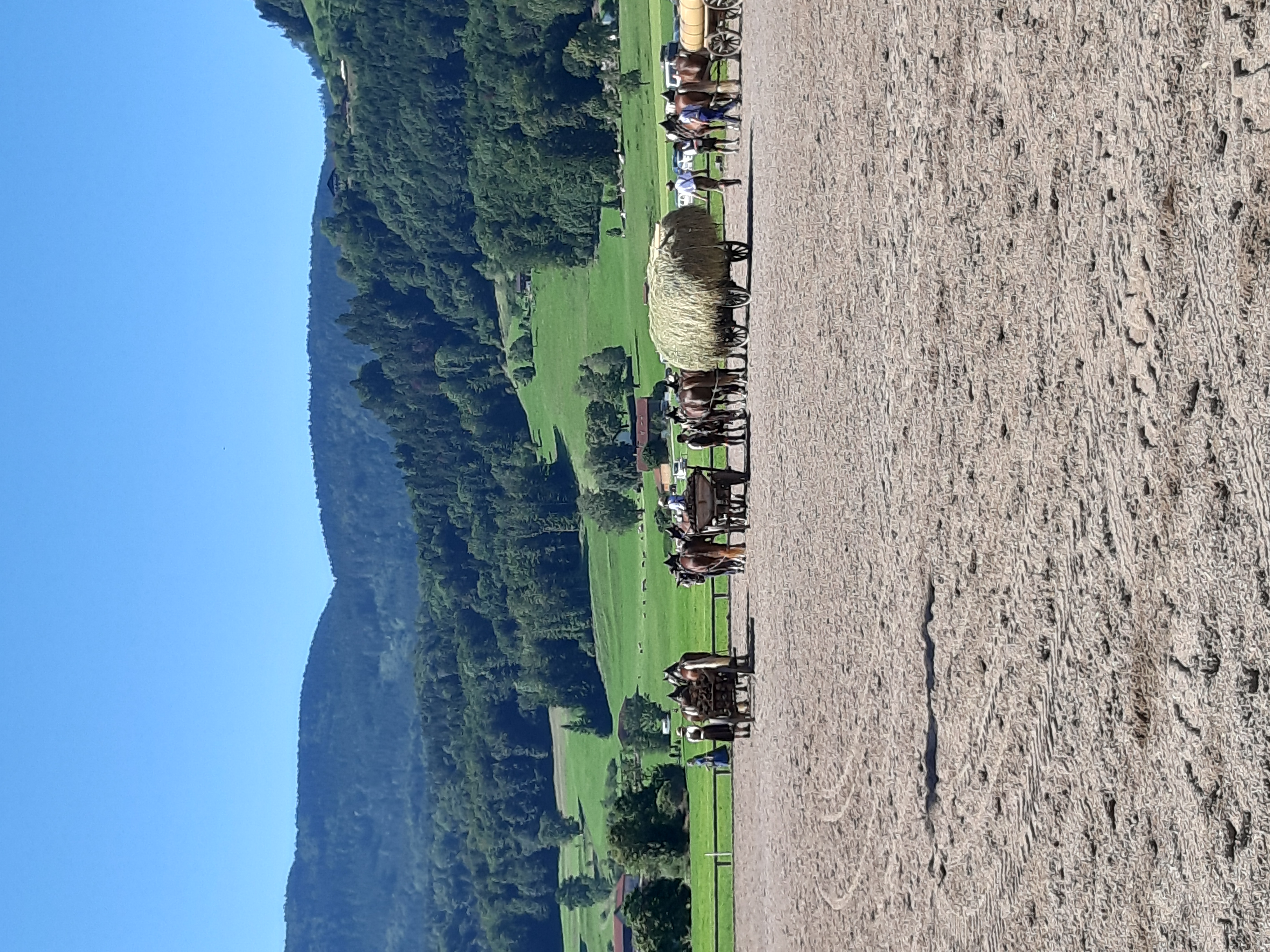 20190818_104423.jpg