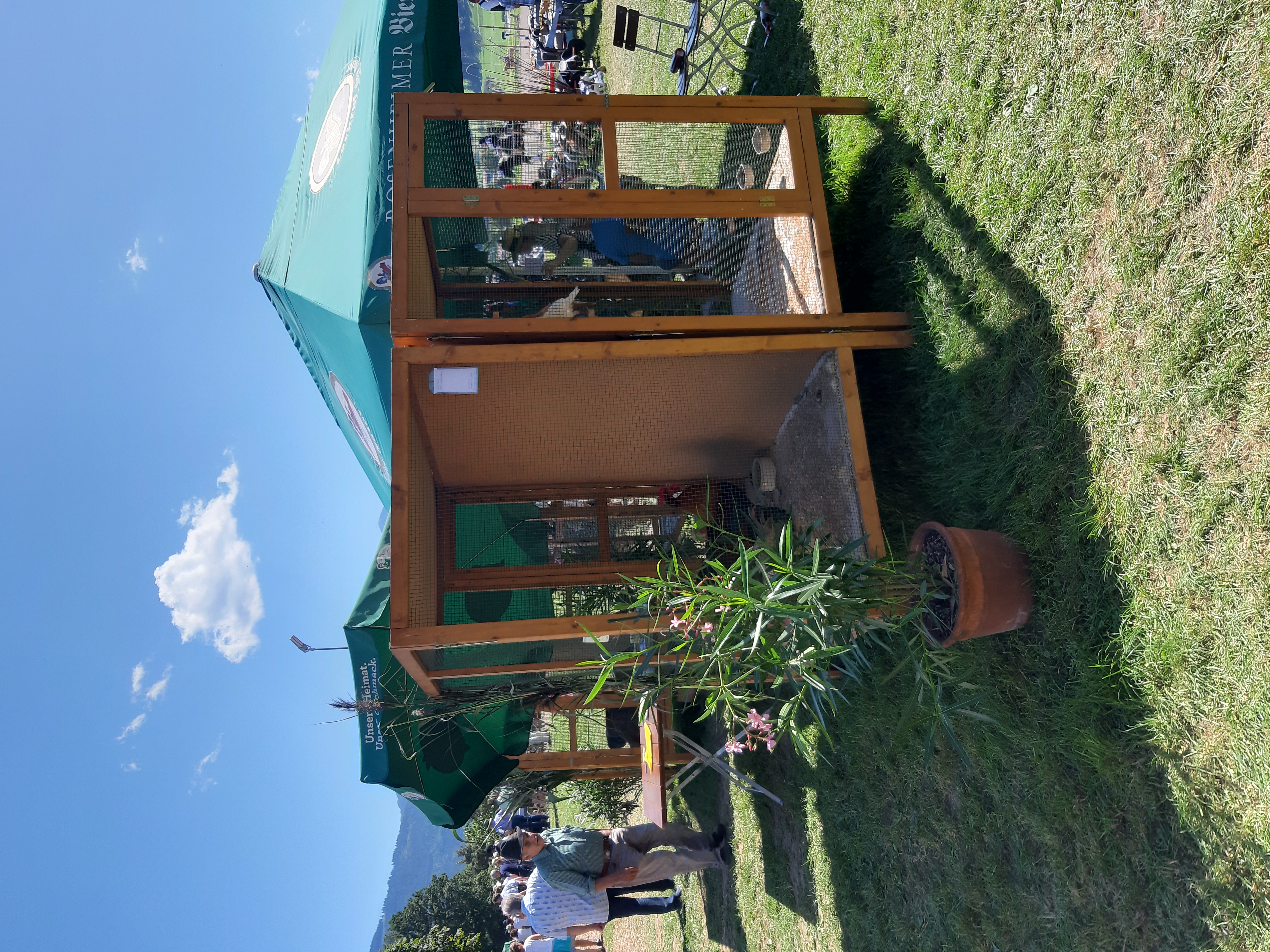 20190818_144513.jpg